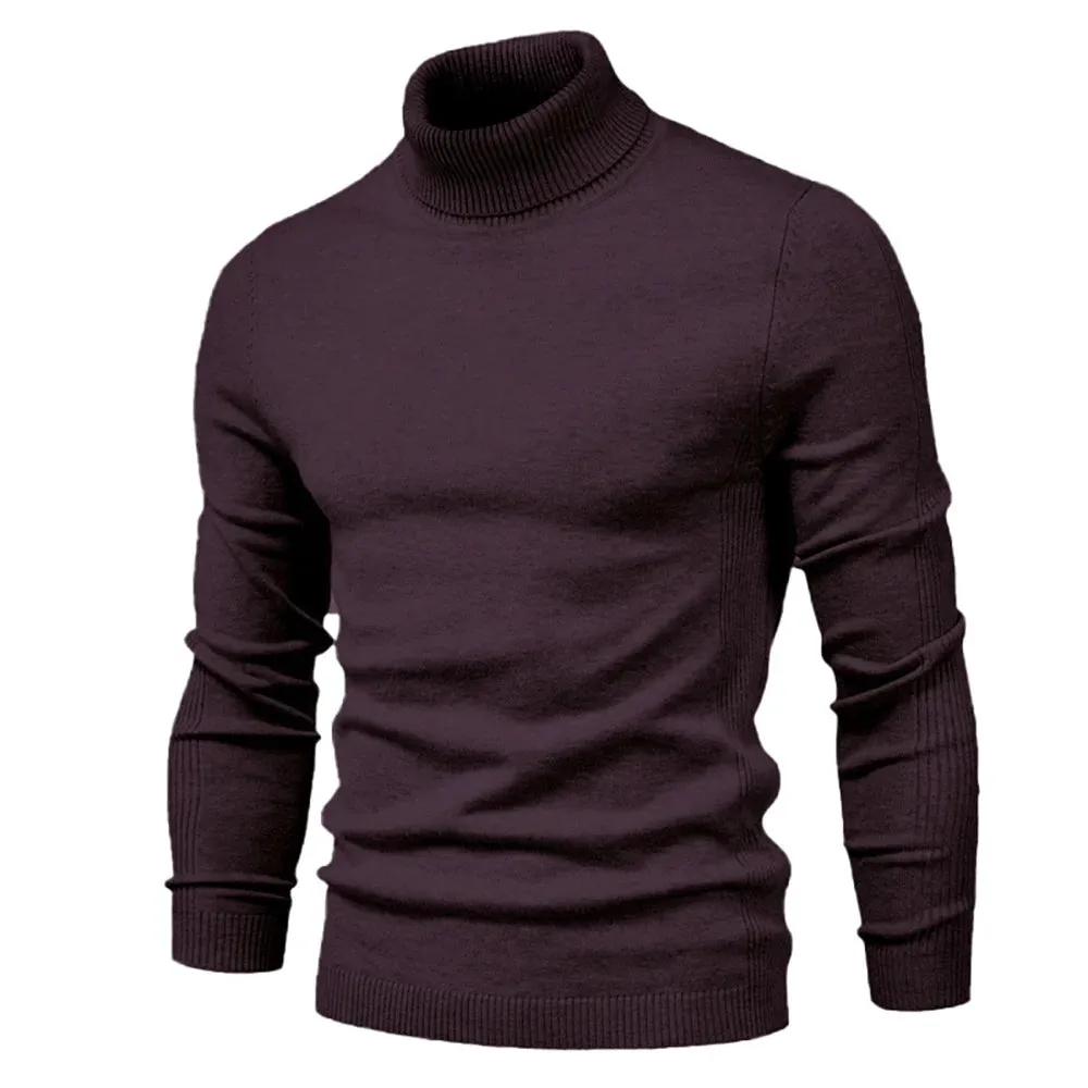 Winter Men Turtleneck Sweater Casual Solid Color Warm Pullover High Quality Slim High Neck Long Sleeve Sweater Men