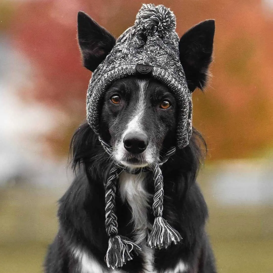 Winter Toque Hat